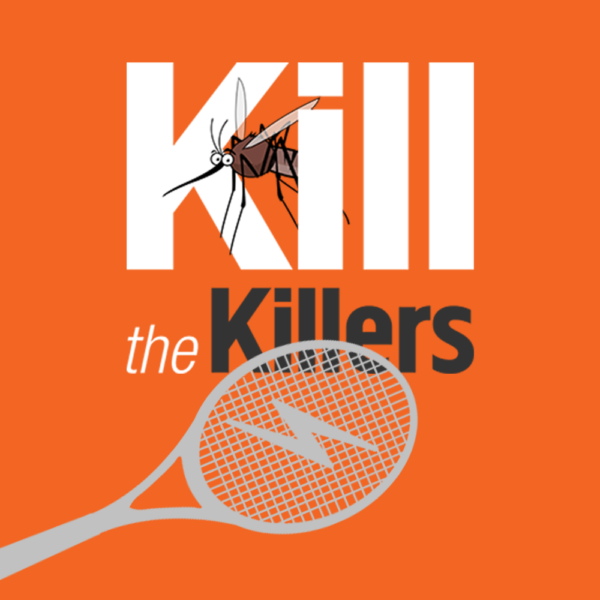 Kill Flies