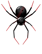 Spiders_5th_Attack